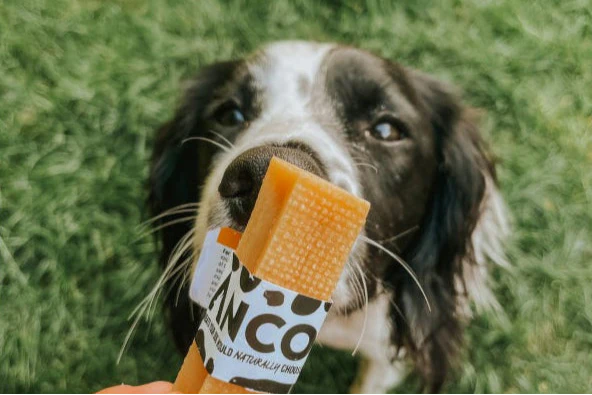 Anco - Moo Chew - Image 4