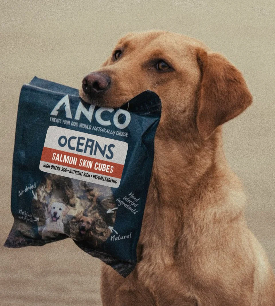 Anco - Oceans Salmon Skin Cubes (100g) - Image 3