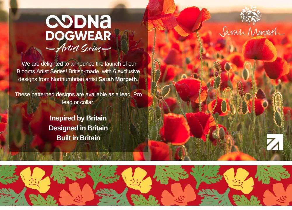 DNA - Artist Blooms Pro Lead - Image 10