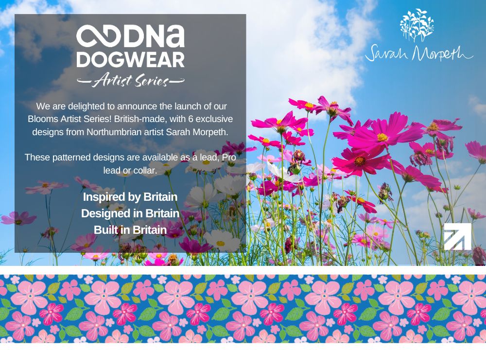 DNA - Artist Blooms Pro Lead - Image 7