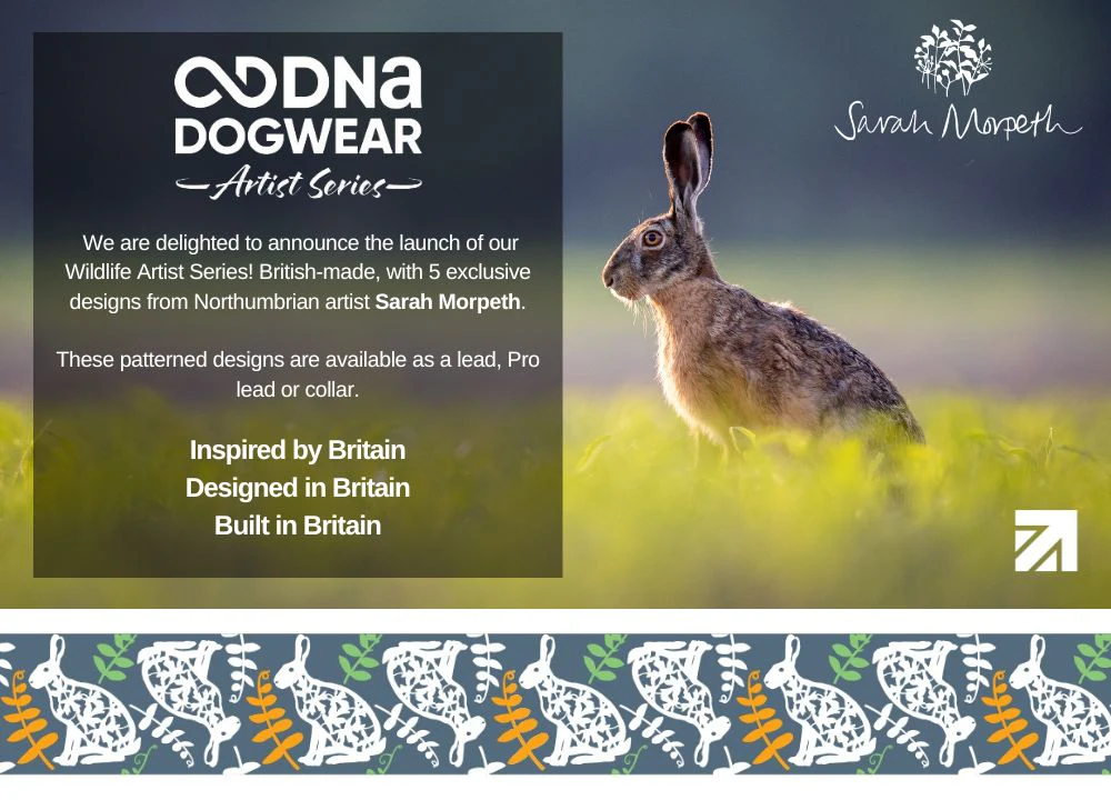 DNA - Artist Wildlife Lead *MASSIVE PRICE REDUCTION* - Image 6