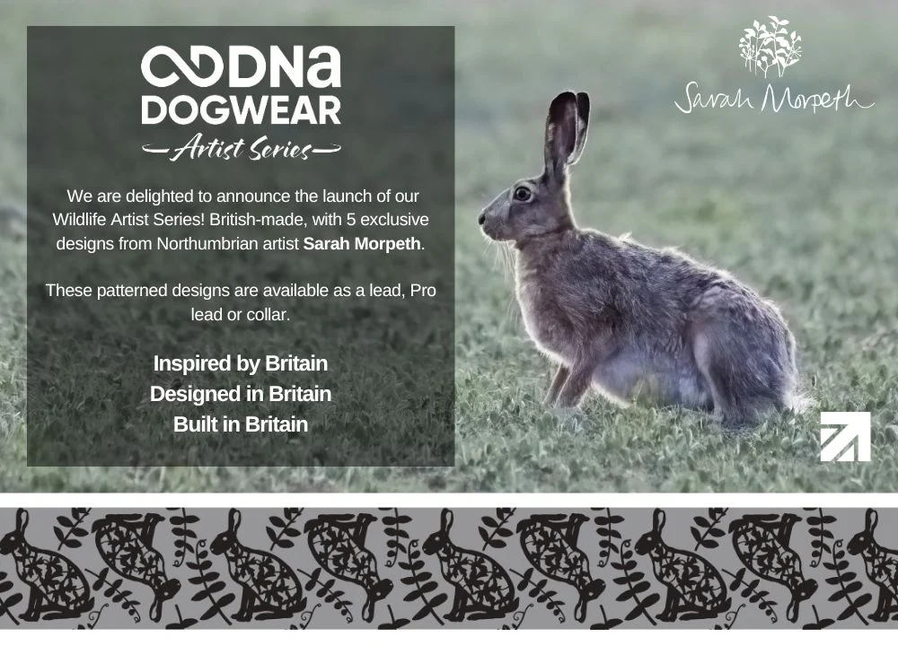 DNA - Artist Wildlife Lead *MASSIVE PRICE REDUCTION* - Image 7