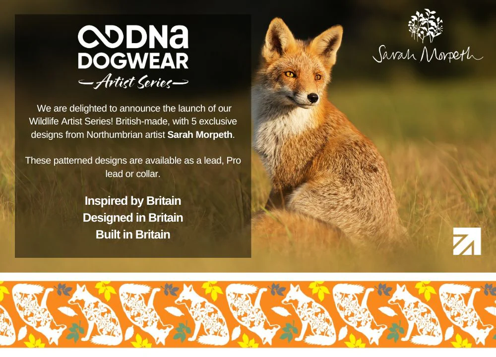 DNA - Artist Wildlife Lead *MASSIVE PRICE REDUCTION* - Image 8