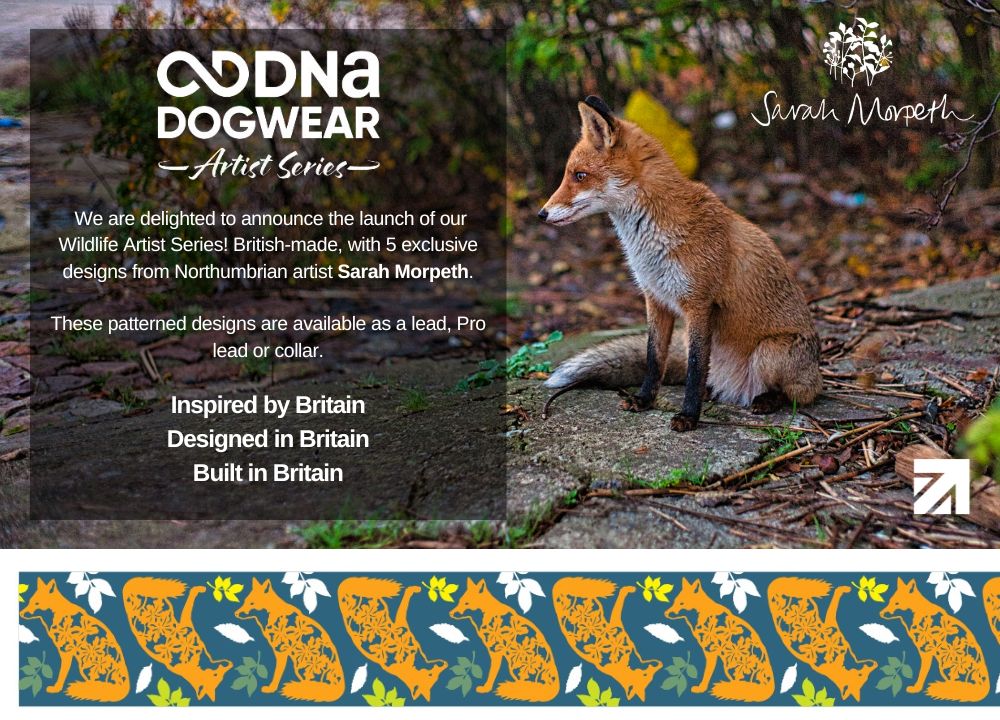DNA - Artist Wildlife Lead *MASSIVE PRICE REDUCTION* - Image 9