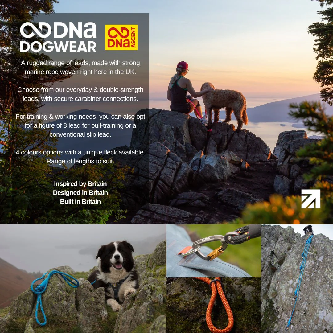 DNA - Ascent Rope Lead - Image 20