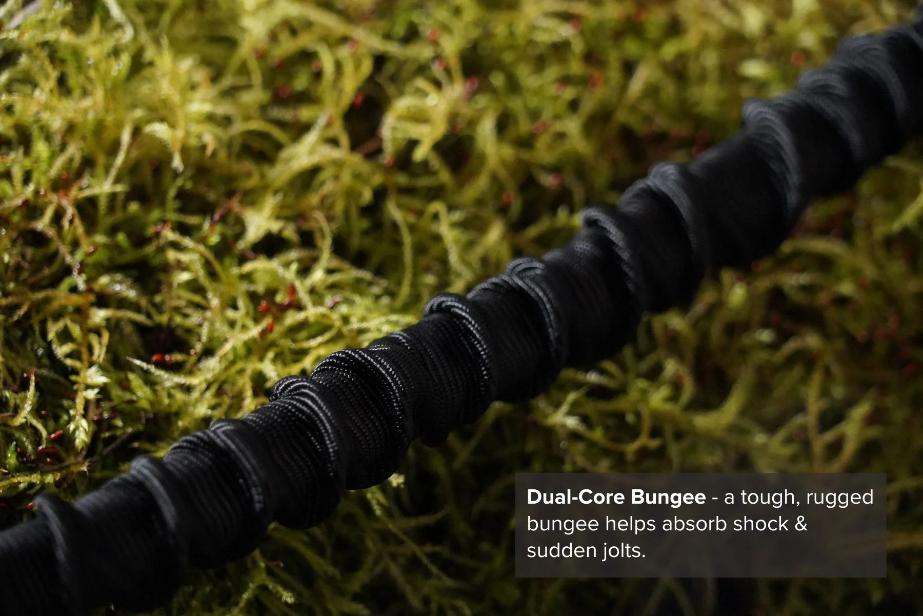 DNA - Shock 2m CaniX Runner Line - Image 6