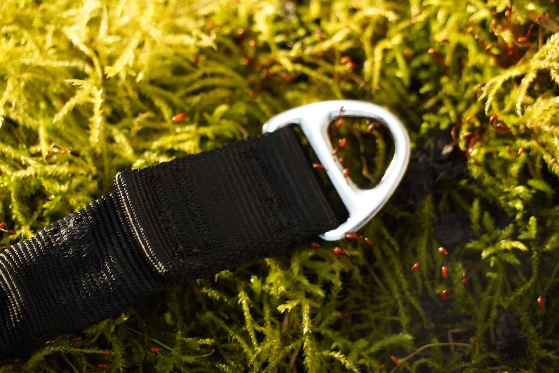 DNA - Shock Lead Extender - Image 4