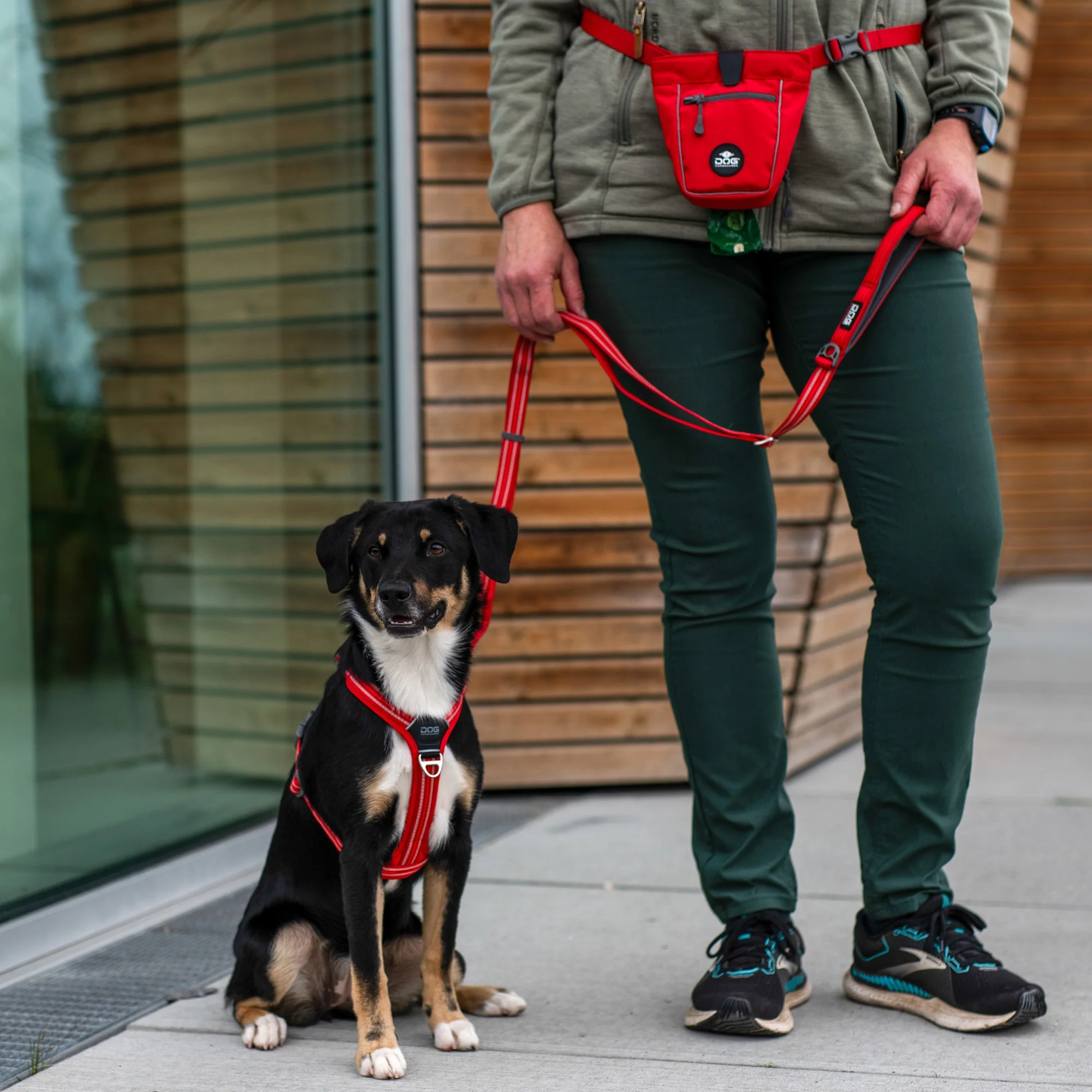 DOG Copenhagen - Go Explore Treat Bag - Image 15