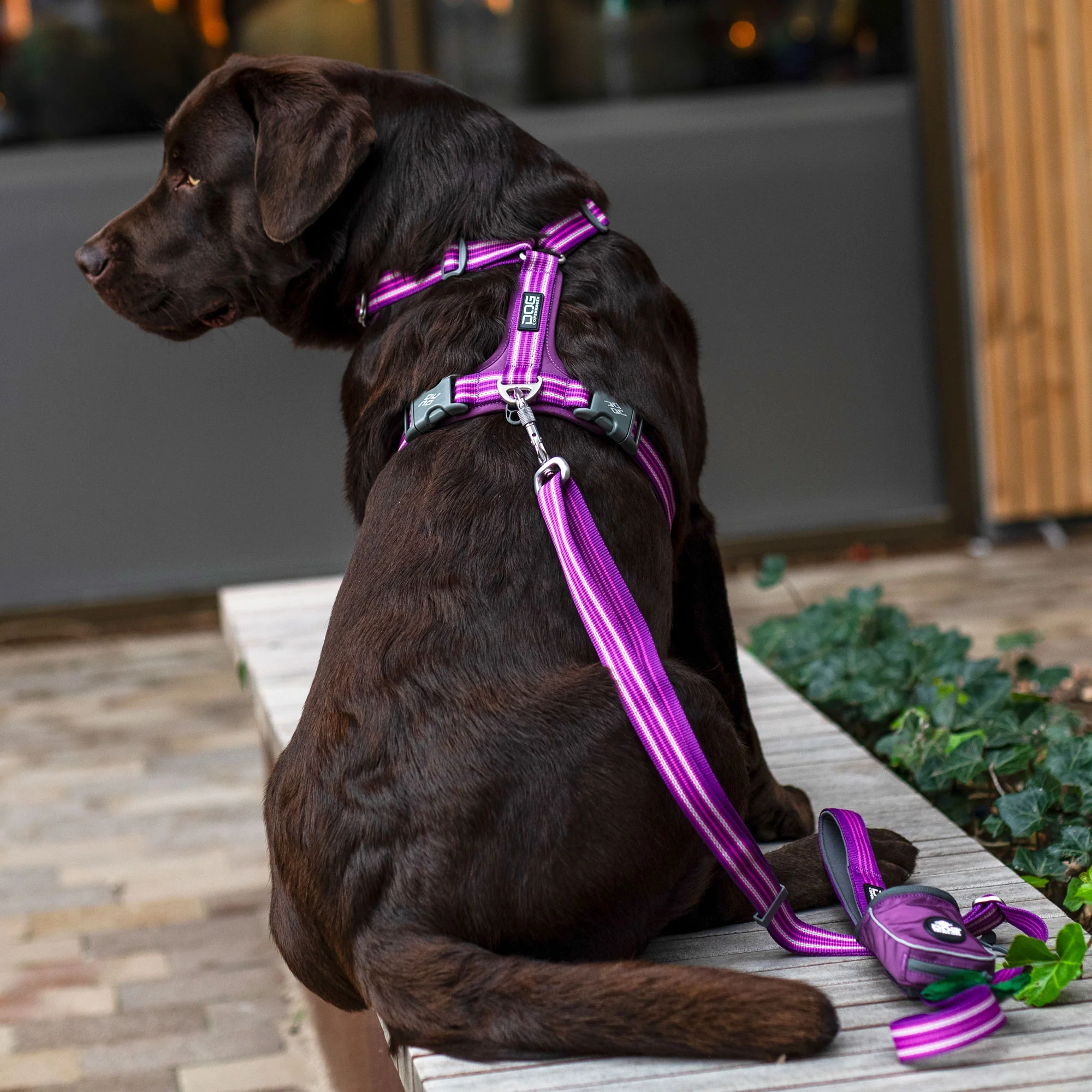 DOG Copenhagen - Pouch Organiser Leash Bag - Image 15