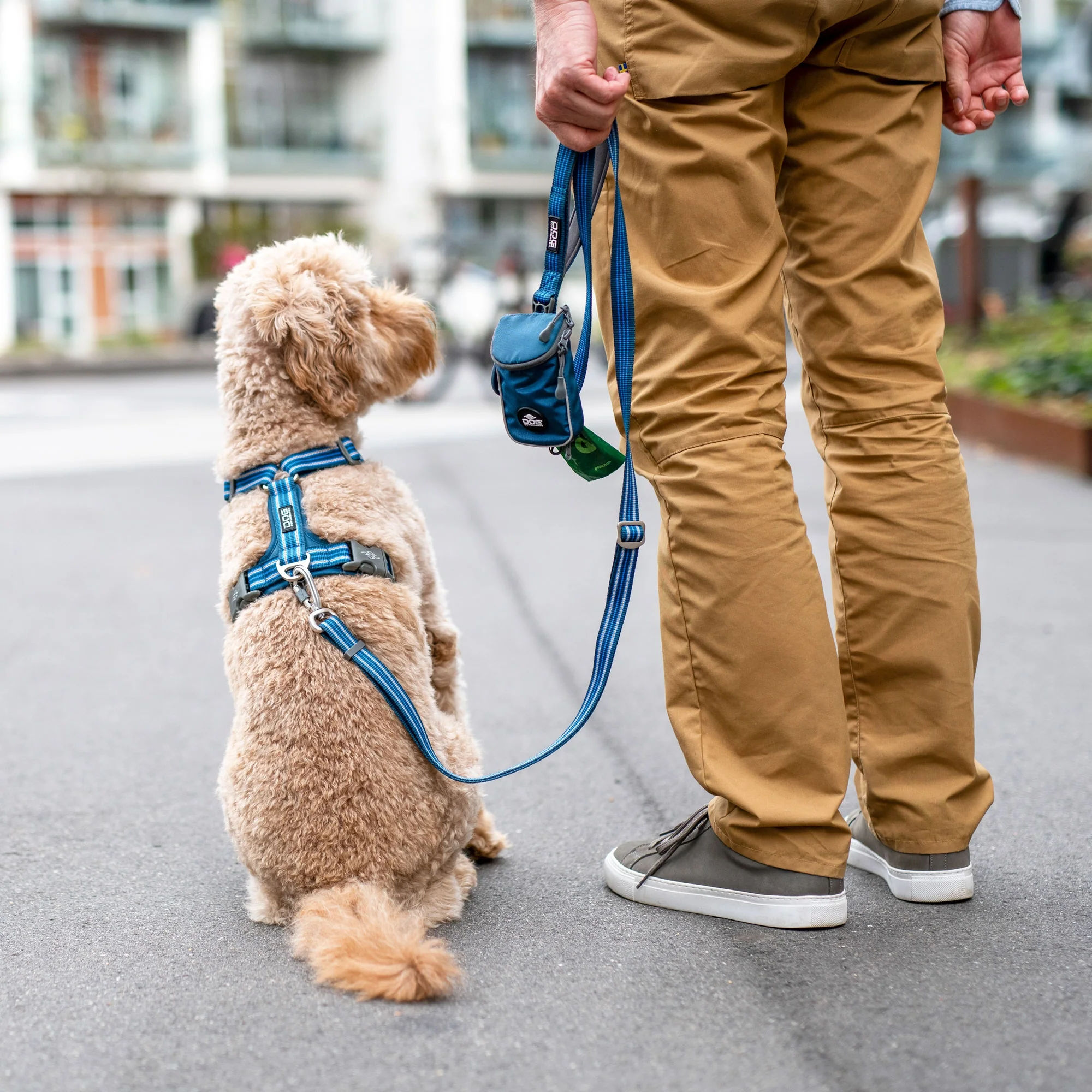 DOG Copenhagen - Urban Freestyle Leash - Image 12