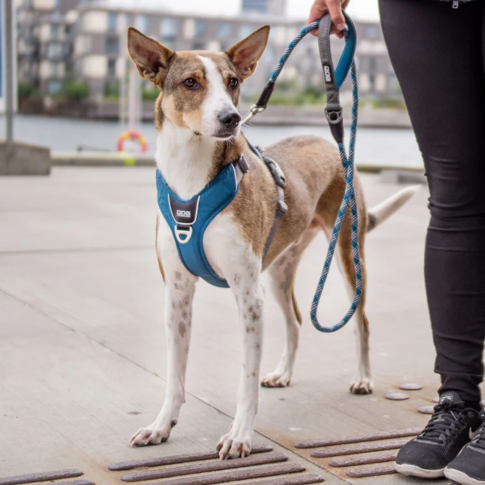 DOG Copenhagen - Urban Rope Leash - Image 13