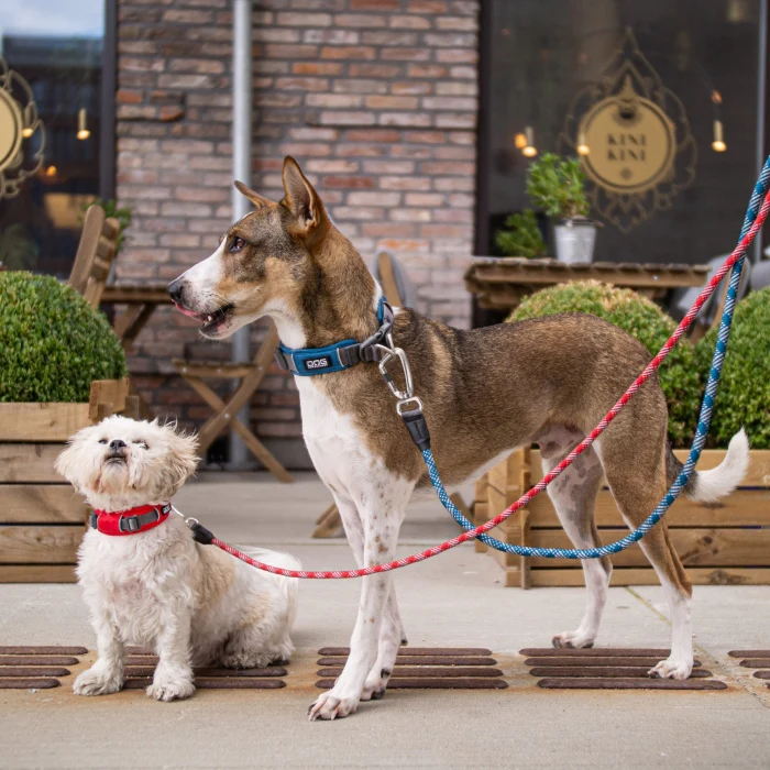 DOG Copenhagen - Urban Rope Leash - Image 14