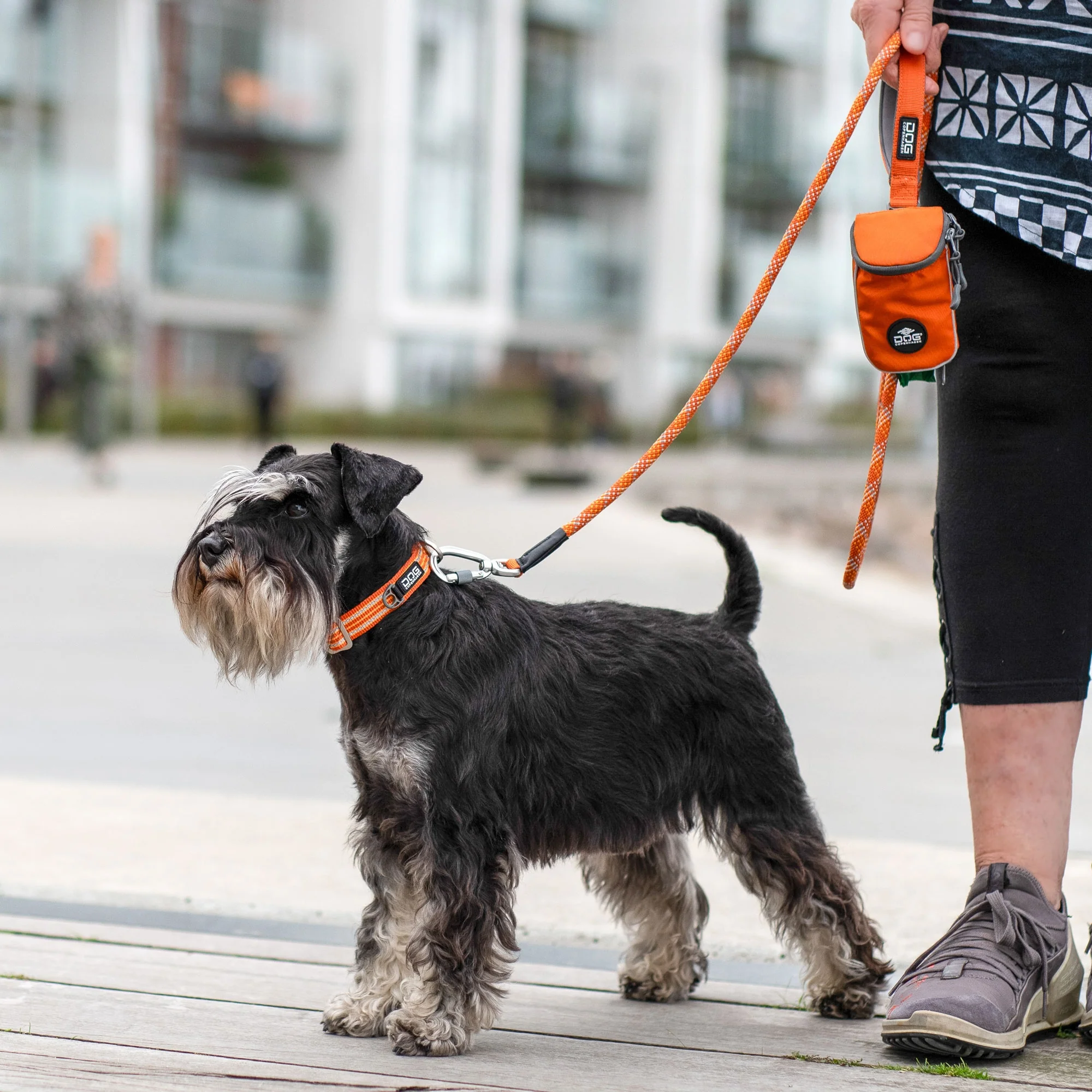 DOG Copenhagen - Urban Style Collar - Image 13