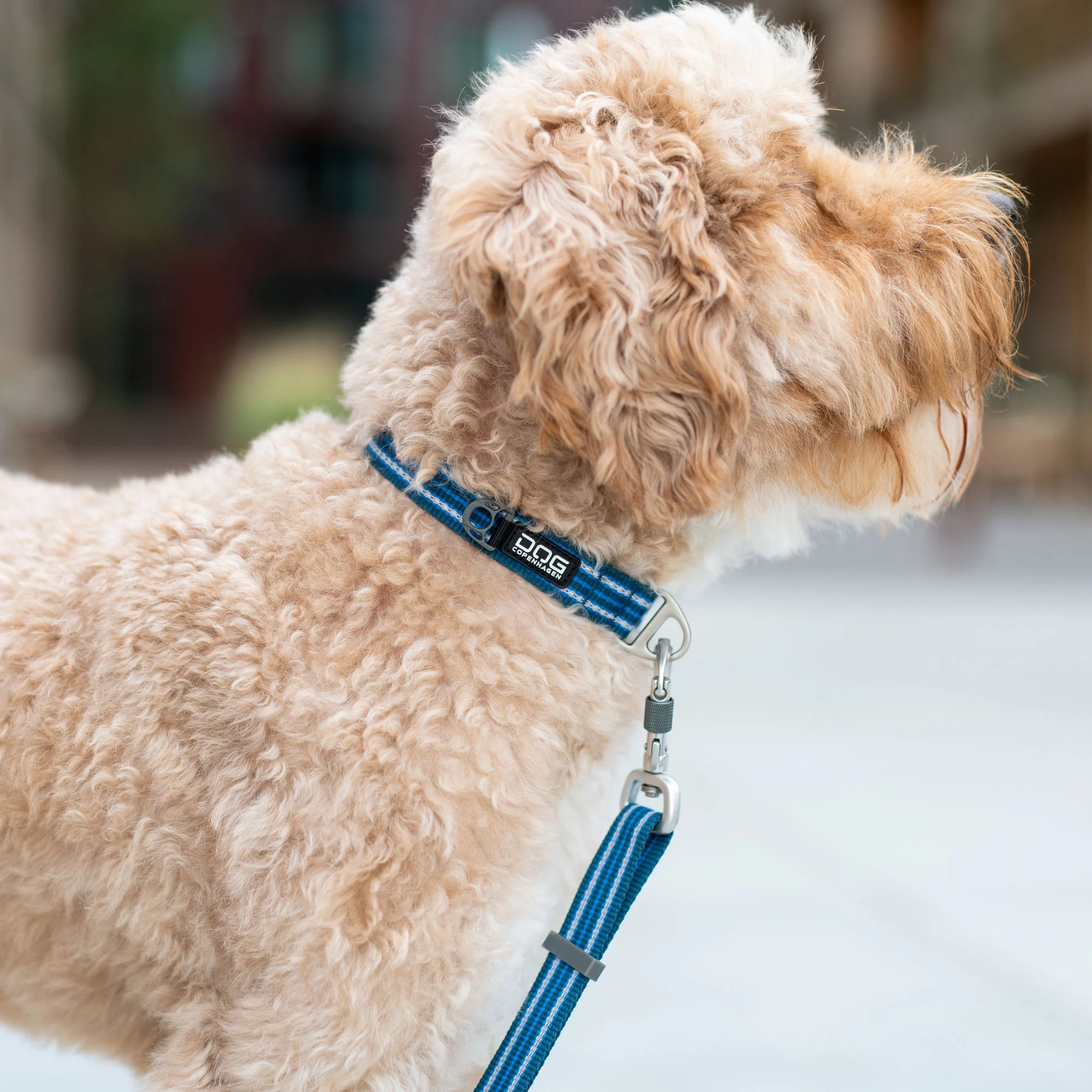 DOG Copenhagen - Urban Style Collar - Image 14