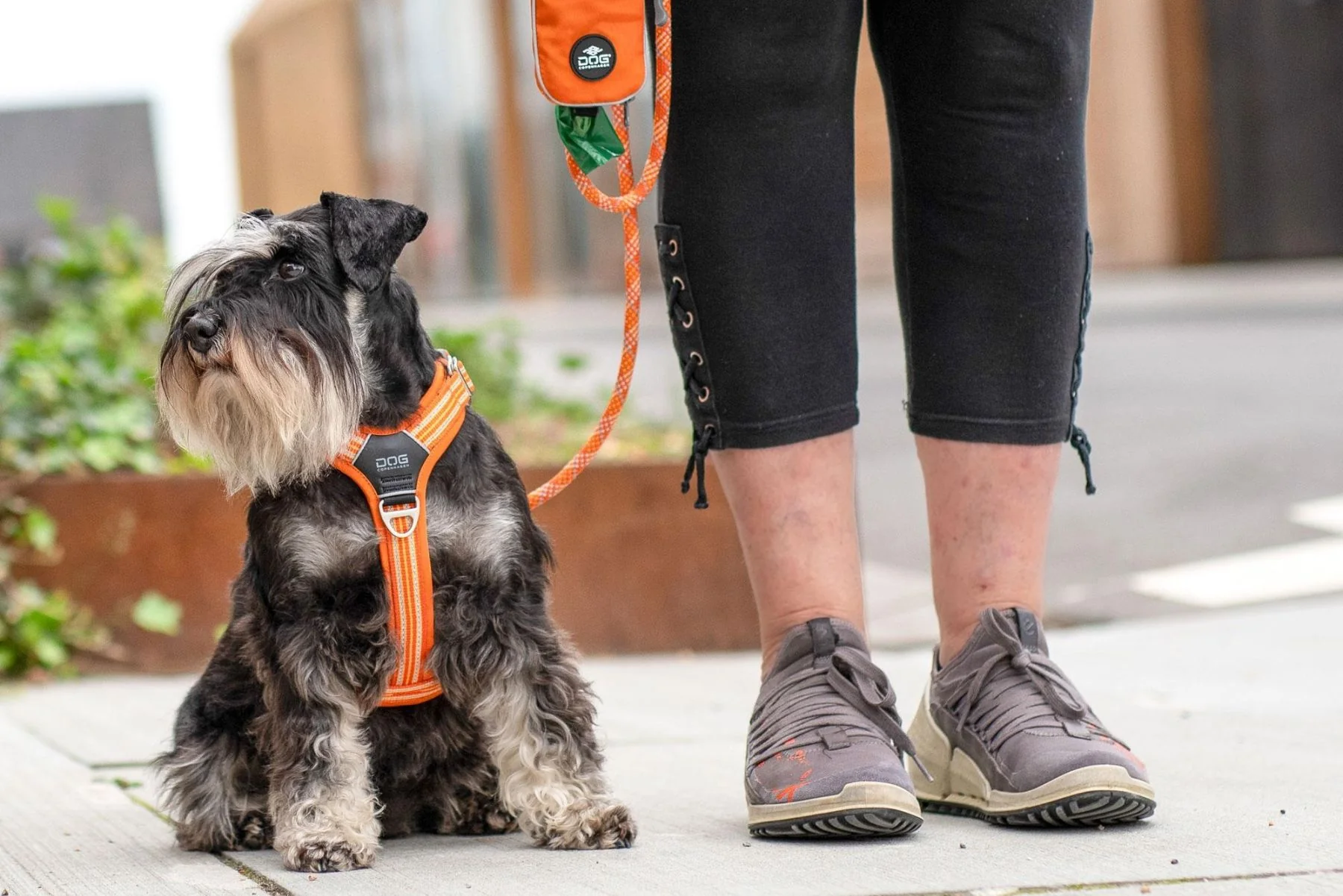 DOG Copenhagen - Comfort Walk Air Harness - Image 14