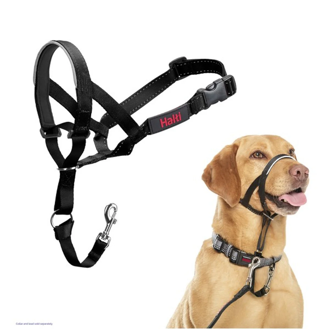 Halti - Headcollar - Image 3