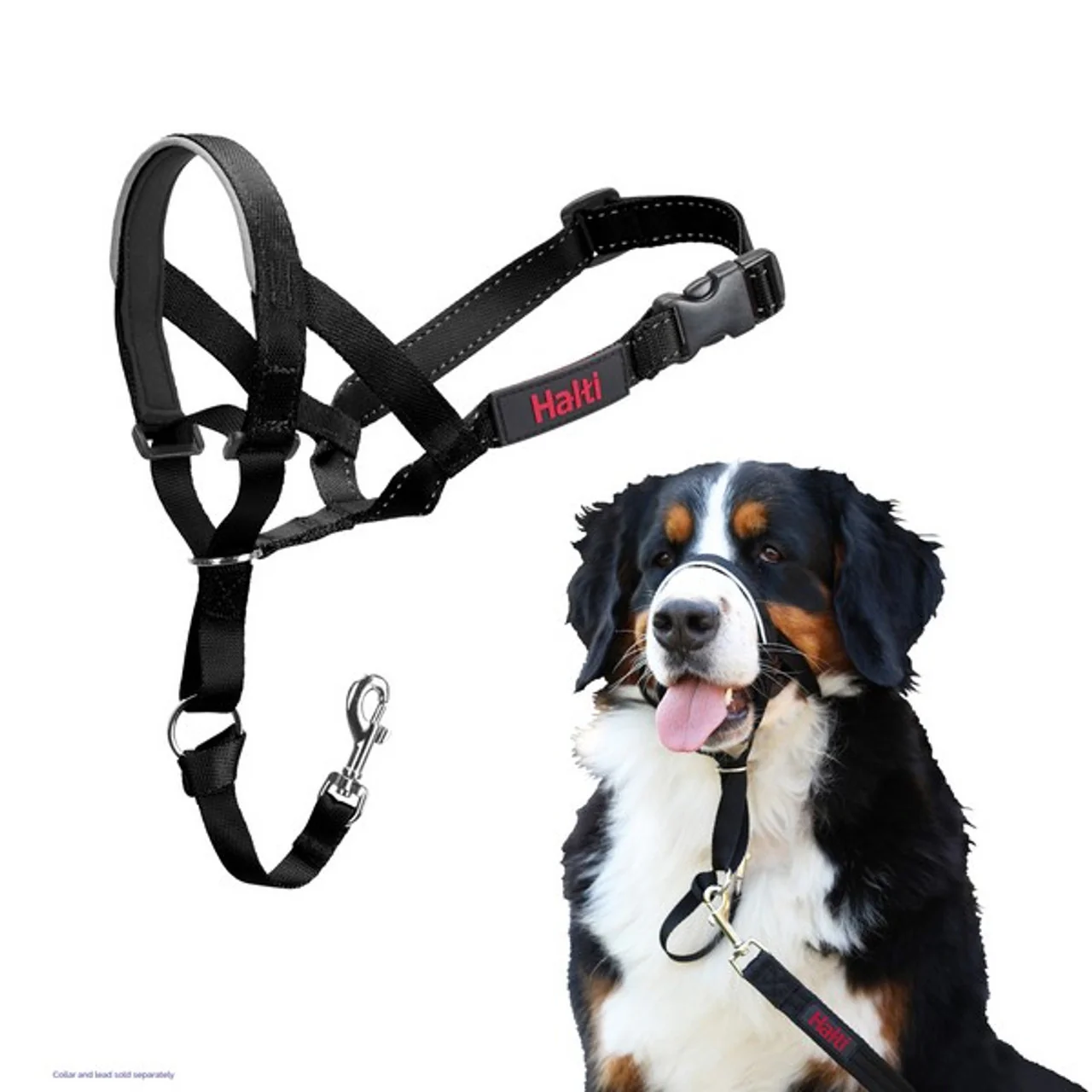 Halti - Headcollar - Image 4