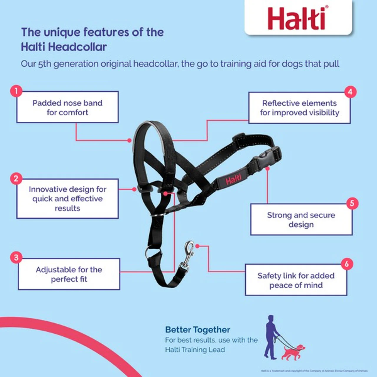 Halti - Headcollar - Image 5