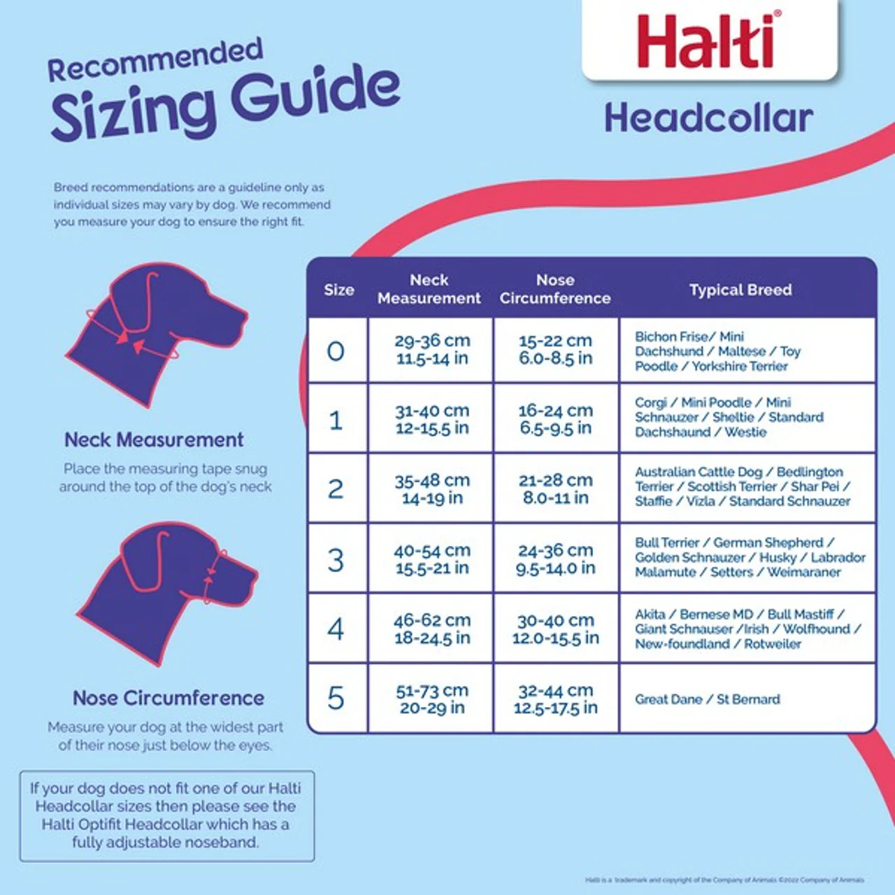Halti - Headcollar - Image 7