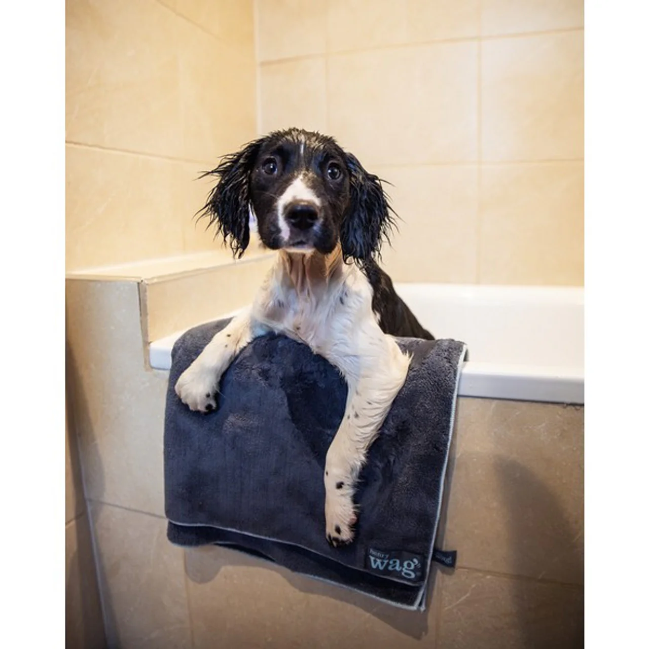Henry Wag - Micro Fibre Microfibre Towel - Image 3