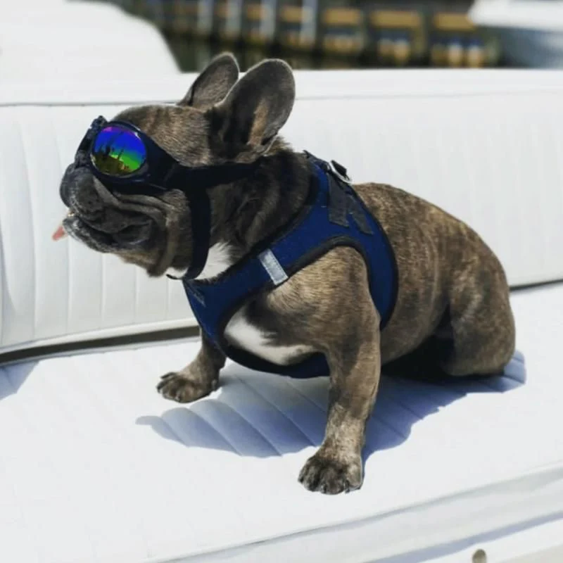 K9 Sport Sack - Goggles - Image 5