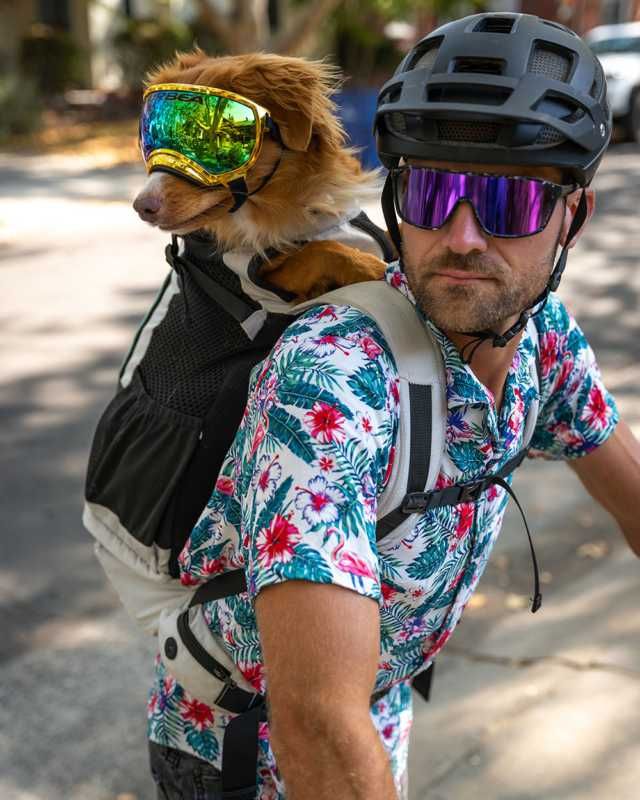 K9 Sport Sack - Knavigate - Image 11