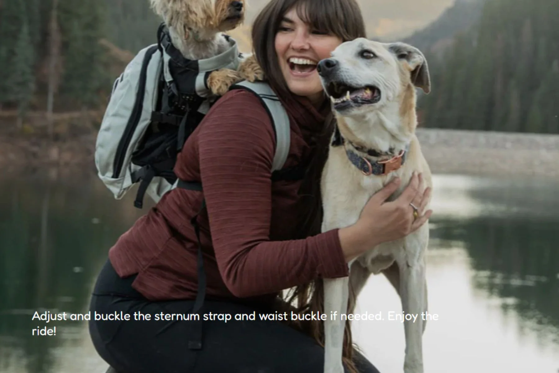 K9 Sport Sack - Plus 2 - Image 14