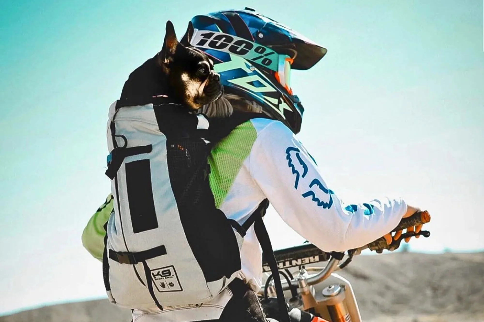 K9 Sport Sack - Air 2 - Image 4