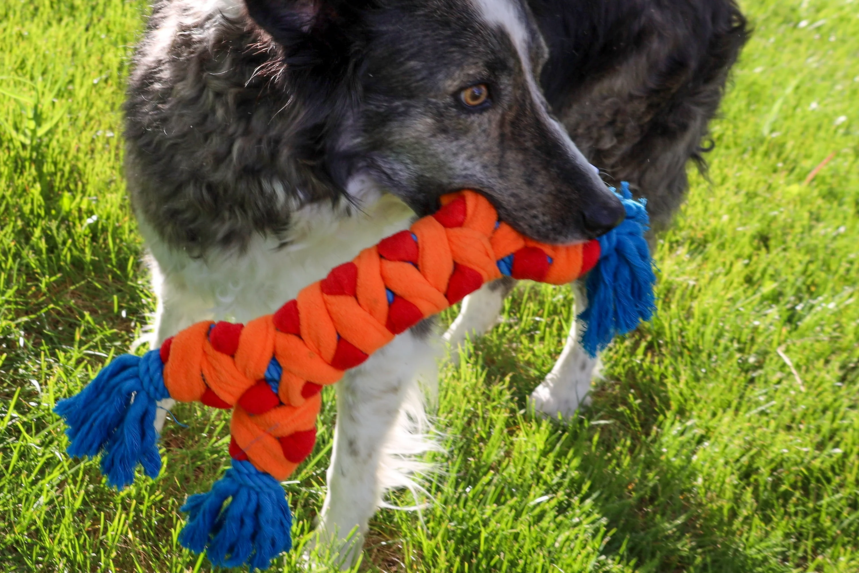 KONG - Rope Rally Bone (Medium) - Image 2
