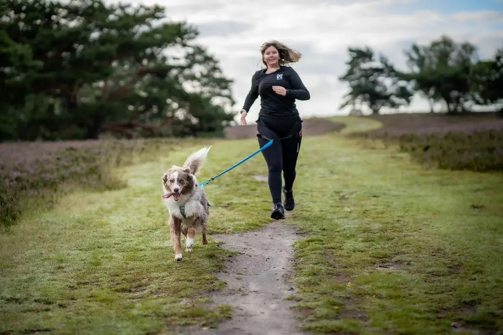 Non-stop - Bungee Leash - Image 4