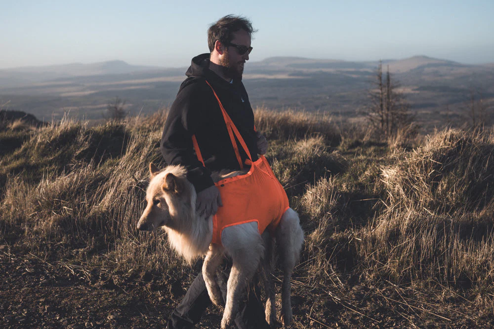 Non-stop - Dog Rescue Sling - Image 3