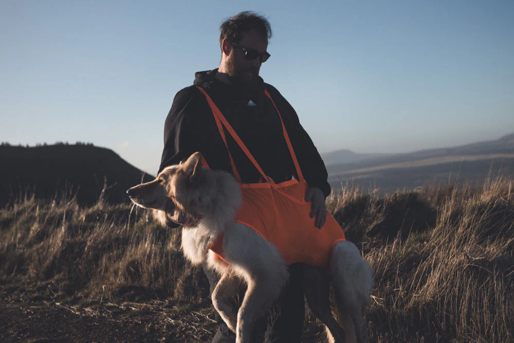 Non-stop - Dog Rescue Sling - Image 4