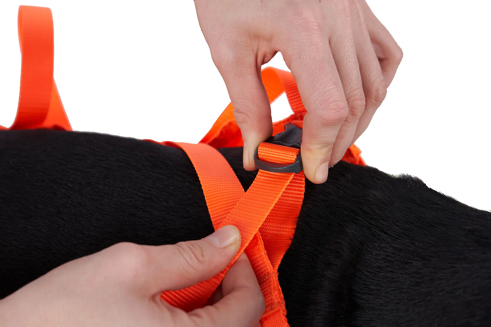 Non-stop - Dog Rescue Sling - Image 8