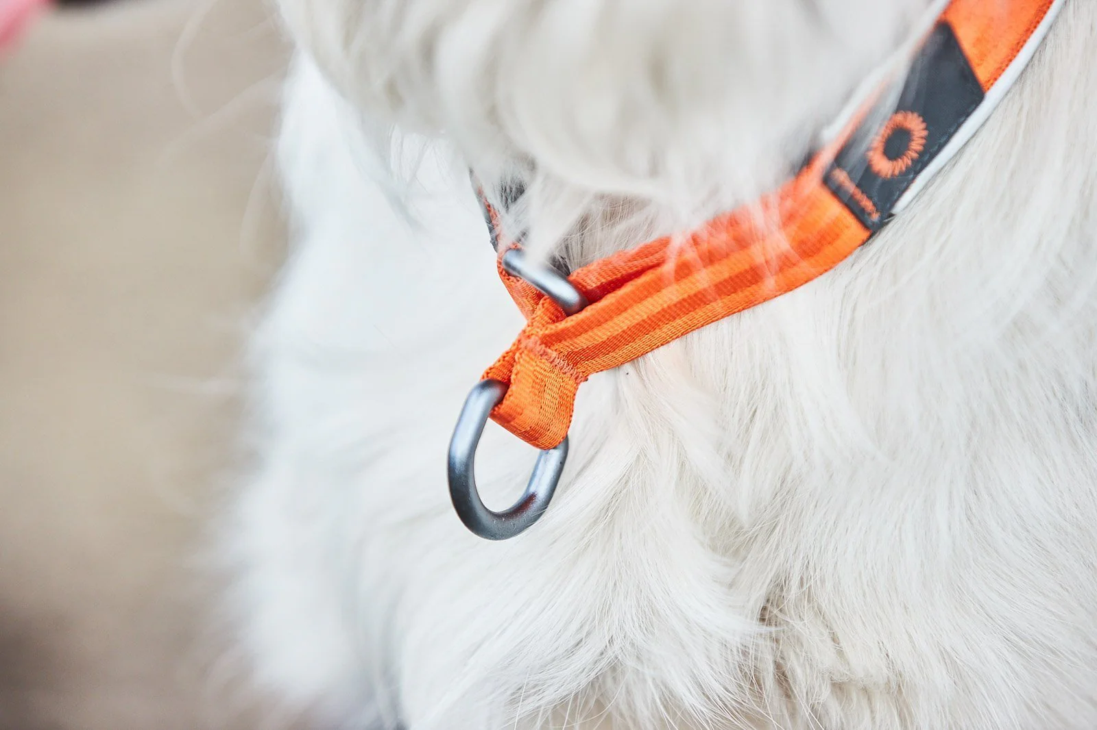 Non-stop - Cruise Collar - Image 3