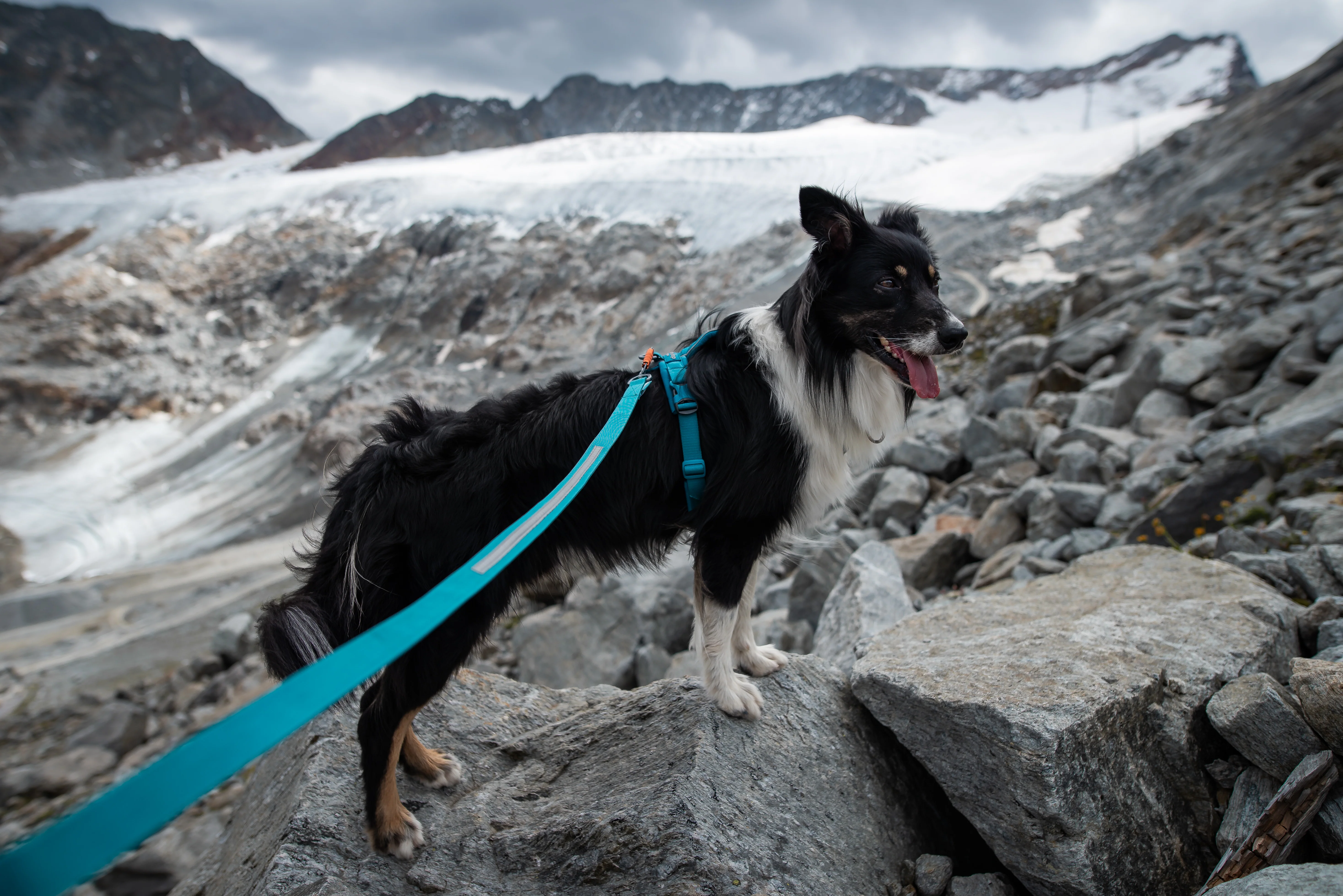 Non-stop - Line Harness v5.0 - Image 4