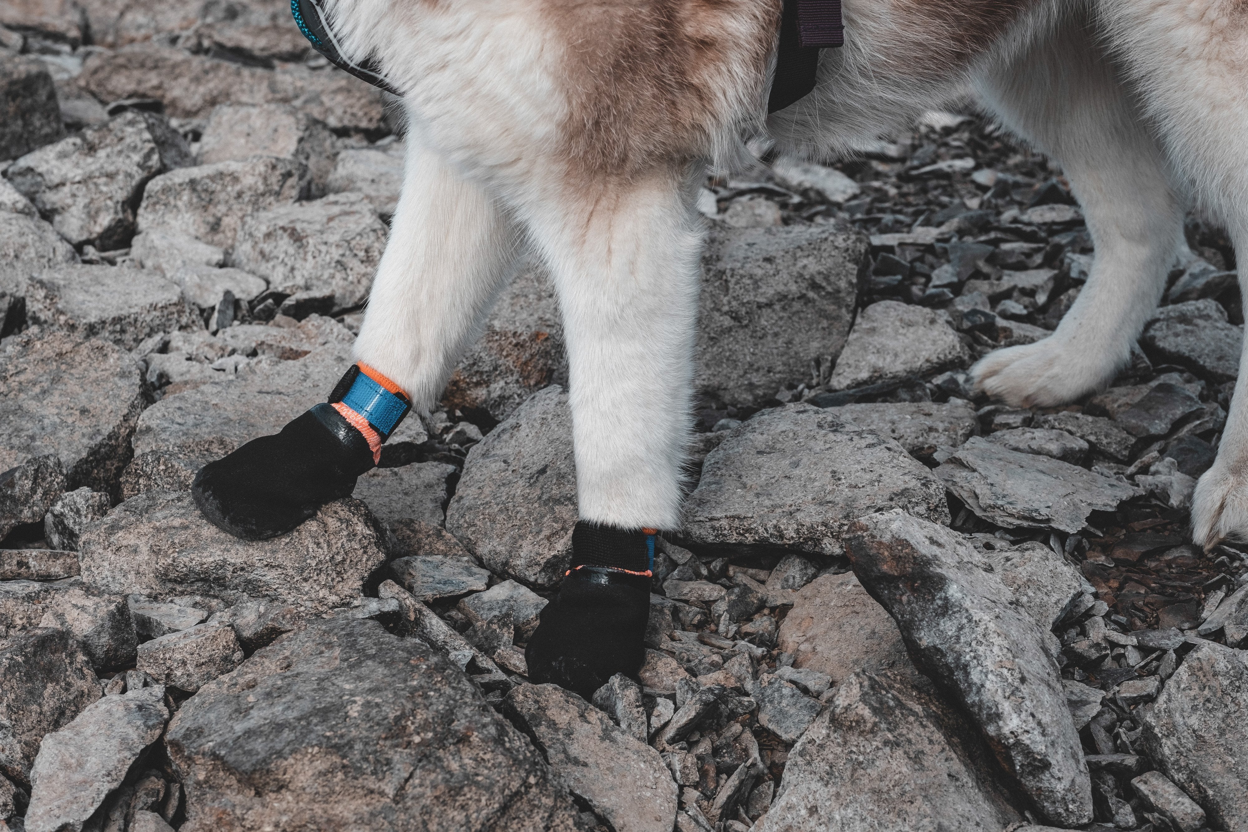 Non-stop - Protector Booties (4 Pack) - Image 5