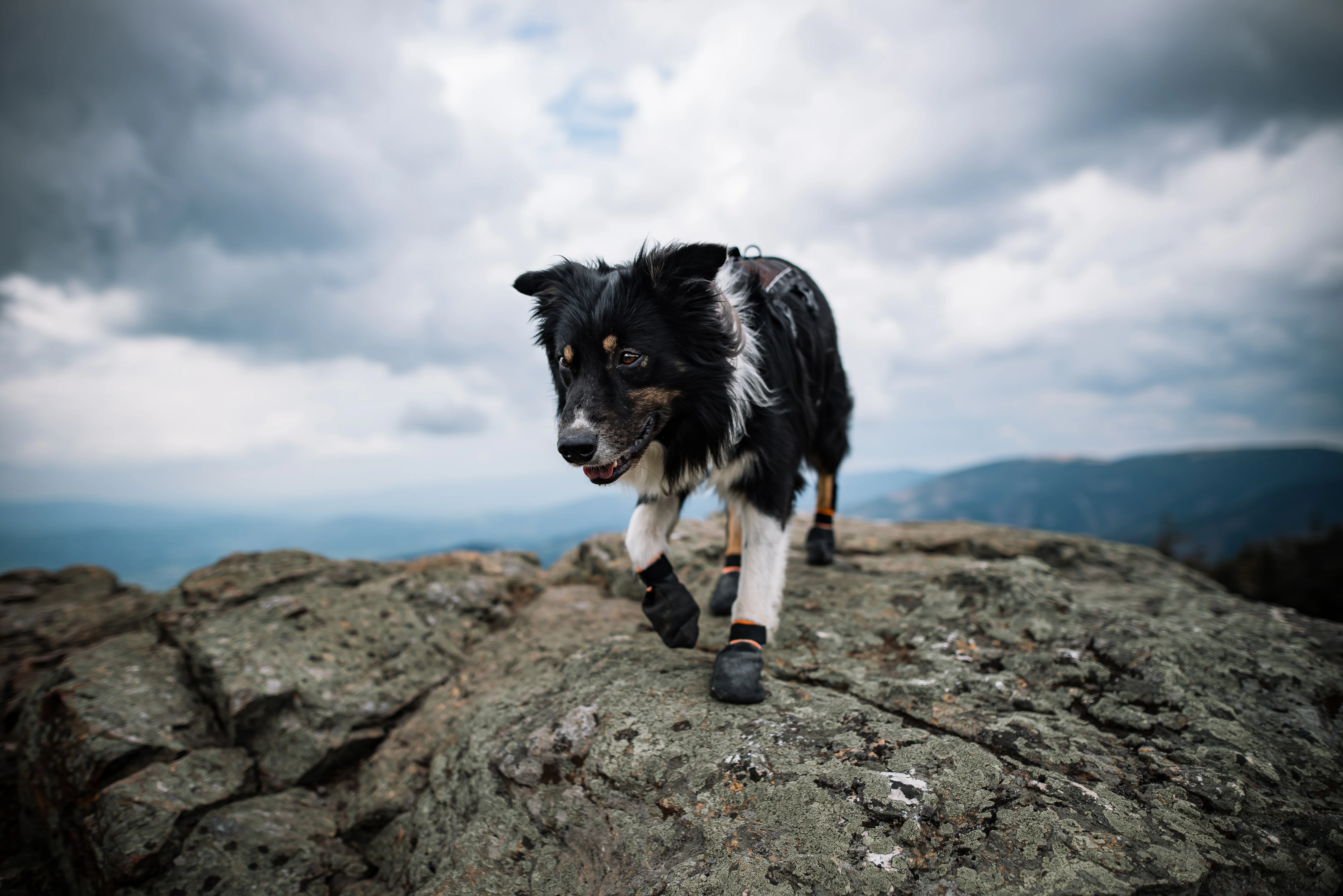 Non-stop - Protector Booties (4 Pack) - Image 9