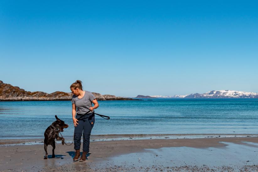 Non-stop - Strong Leash (1 to 3m Length Options) - Image 7