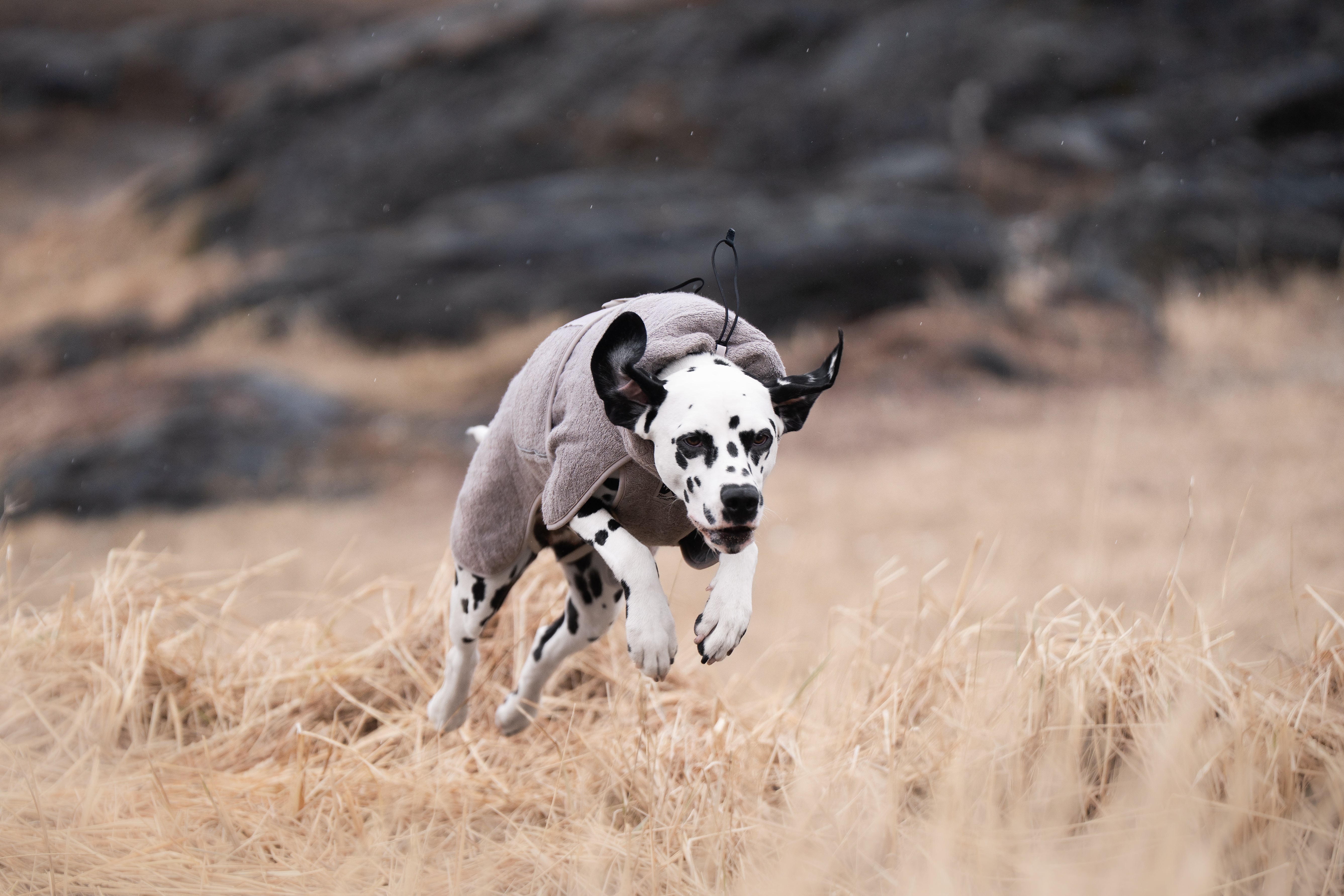 Non-stop - Drying Coat - Image 4