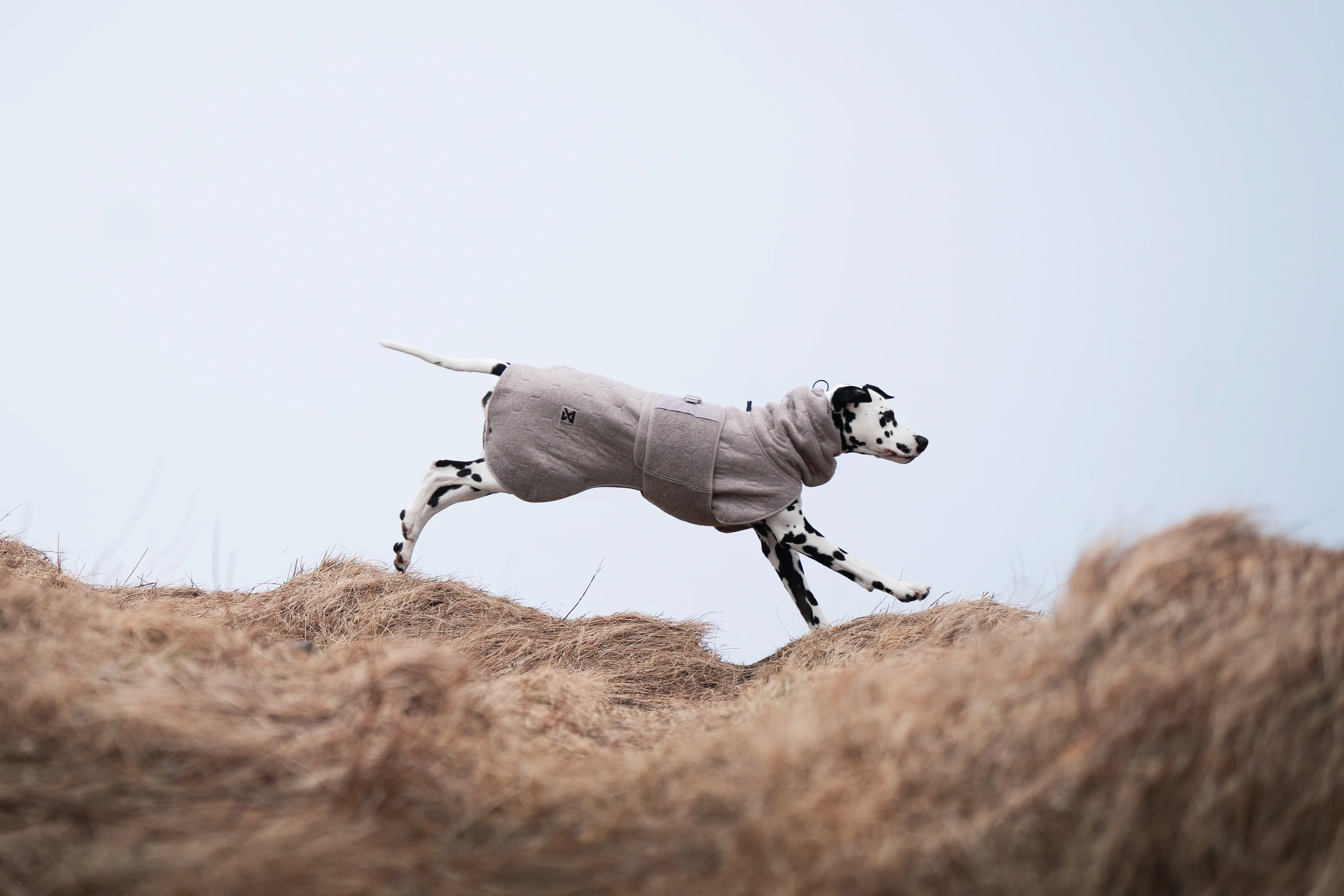Non-stop - Drying Coat - Image 6