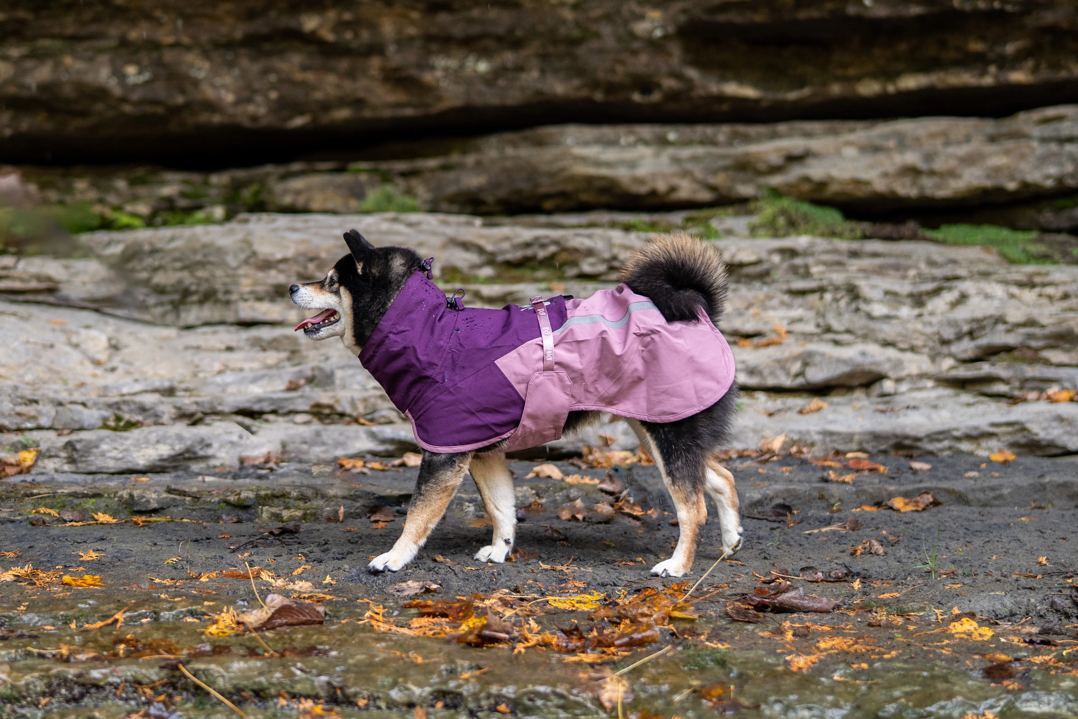 Non-stop - Fjord Raincoat 2.0 - Image 10