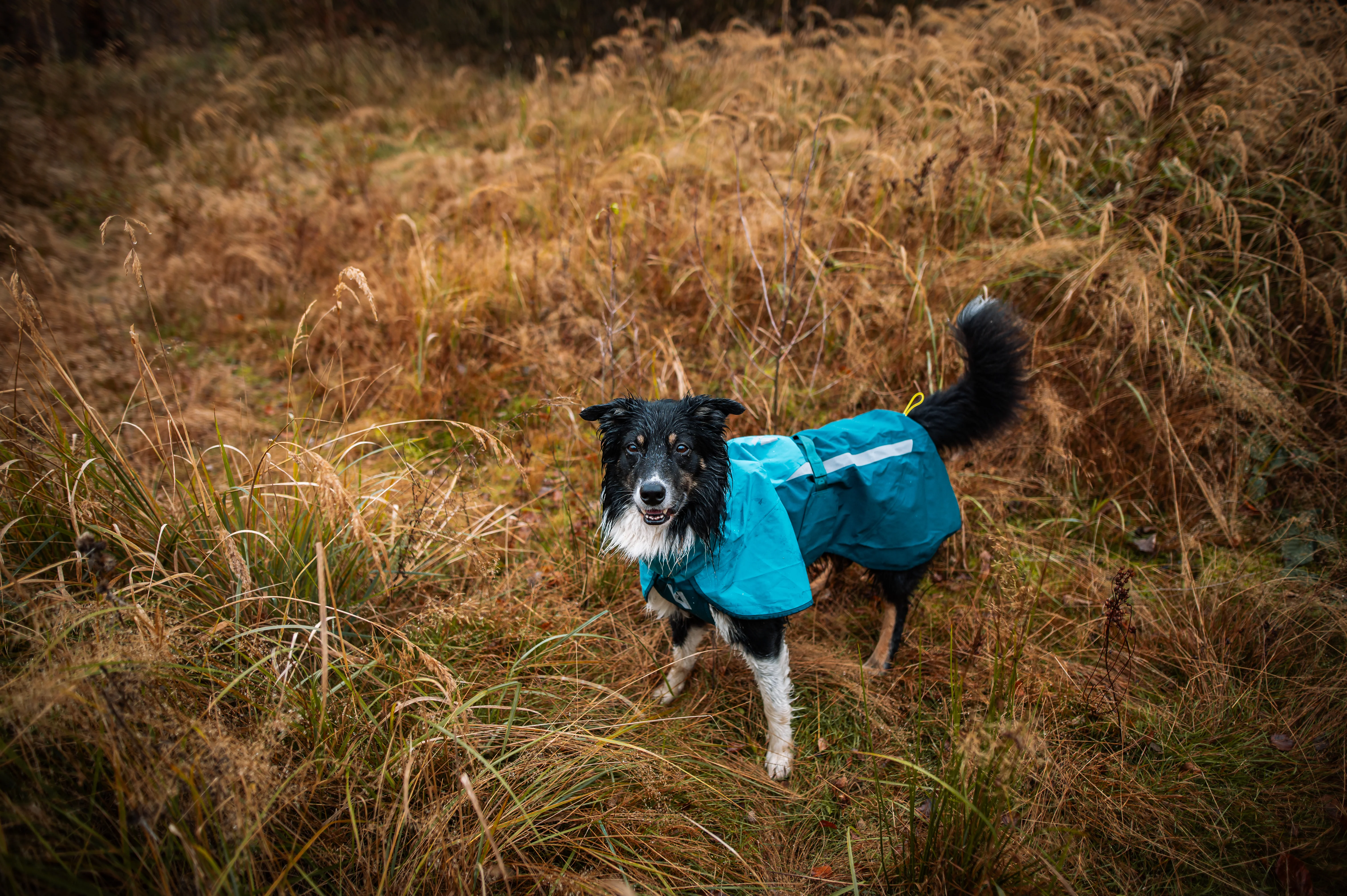 Non-stop - Fjord Raincoat 2.0 - Image 14