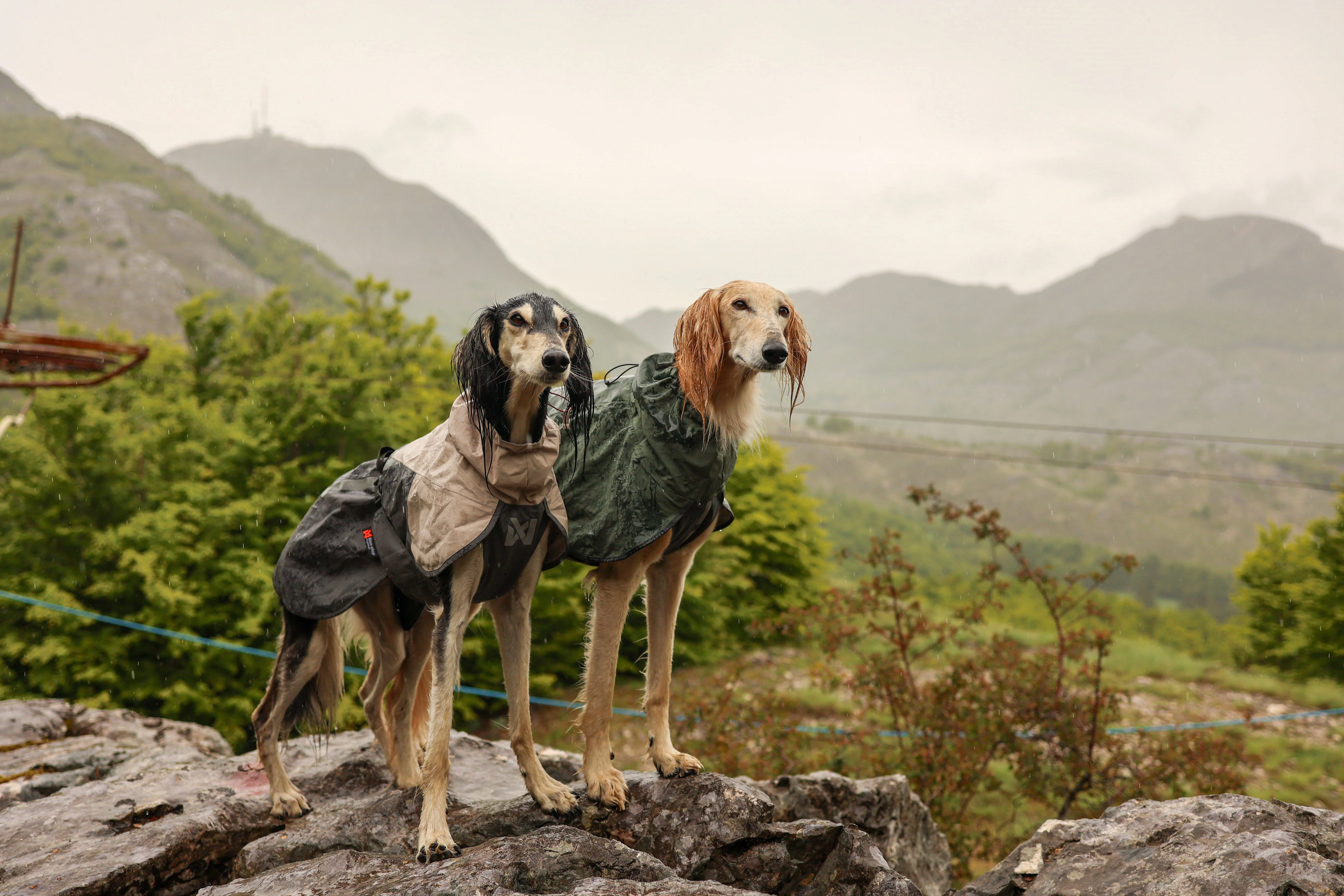 Non-stop - Fjord Raincoat 2.0 - Image 8