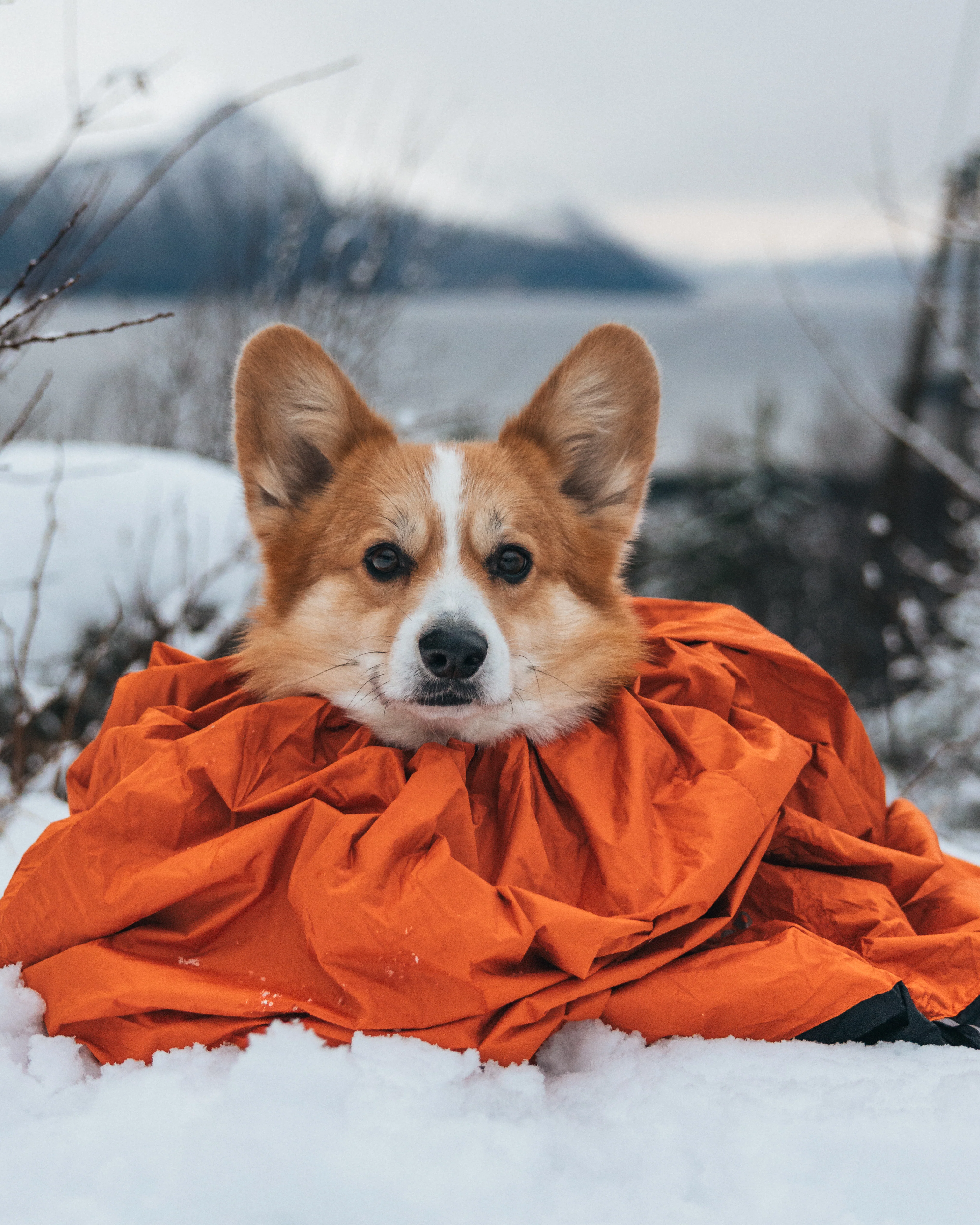 Non-stop - Protector Bivvy Sleeping Bag - Image 11