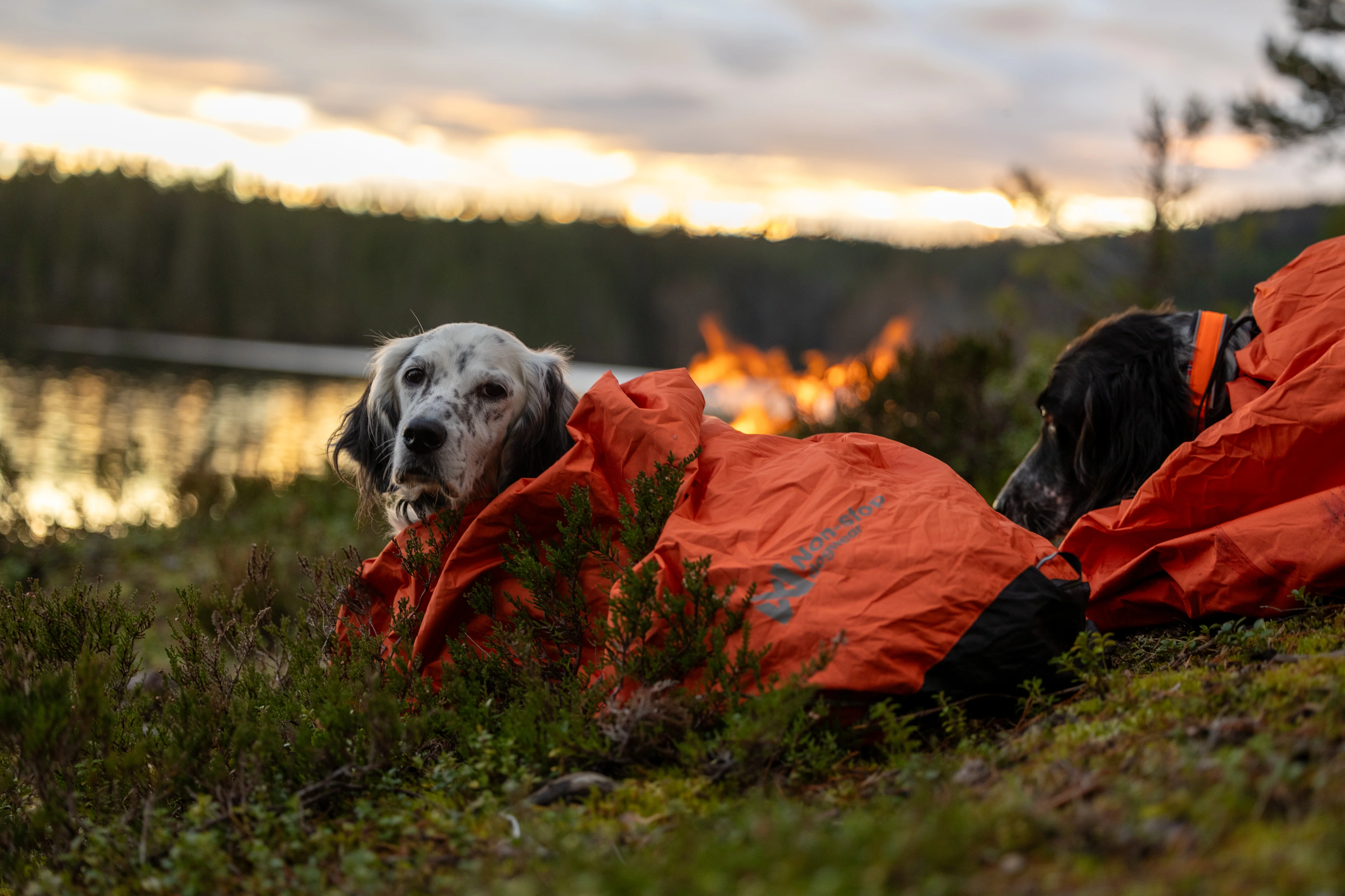 Non-stop - Protector Bivvy Sleeping Bag - Image 12