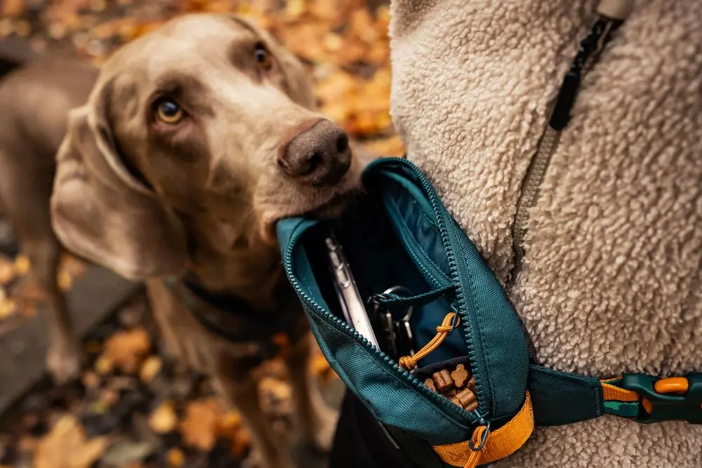 Non-stop - Rachel Pohl - Trail Quest Storage Pack - Image 4