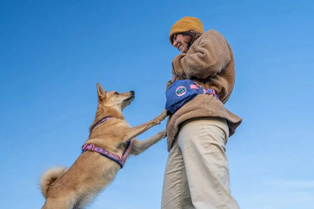 Non-stop - Rachel Pohl - Trail Quest Storage Pack - Image 7
