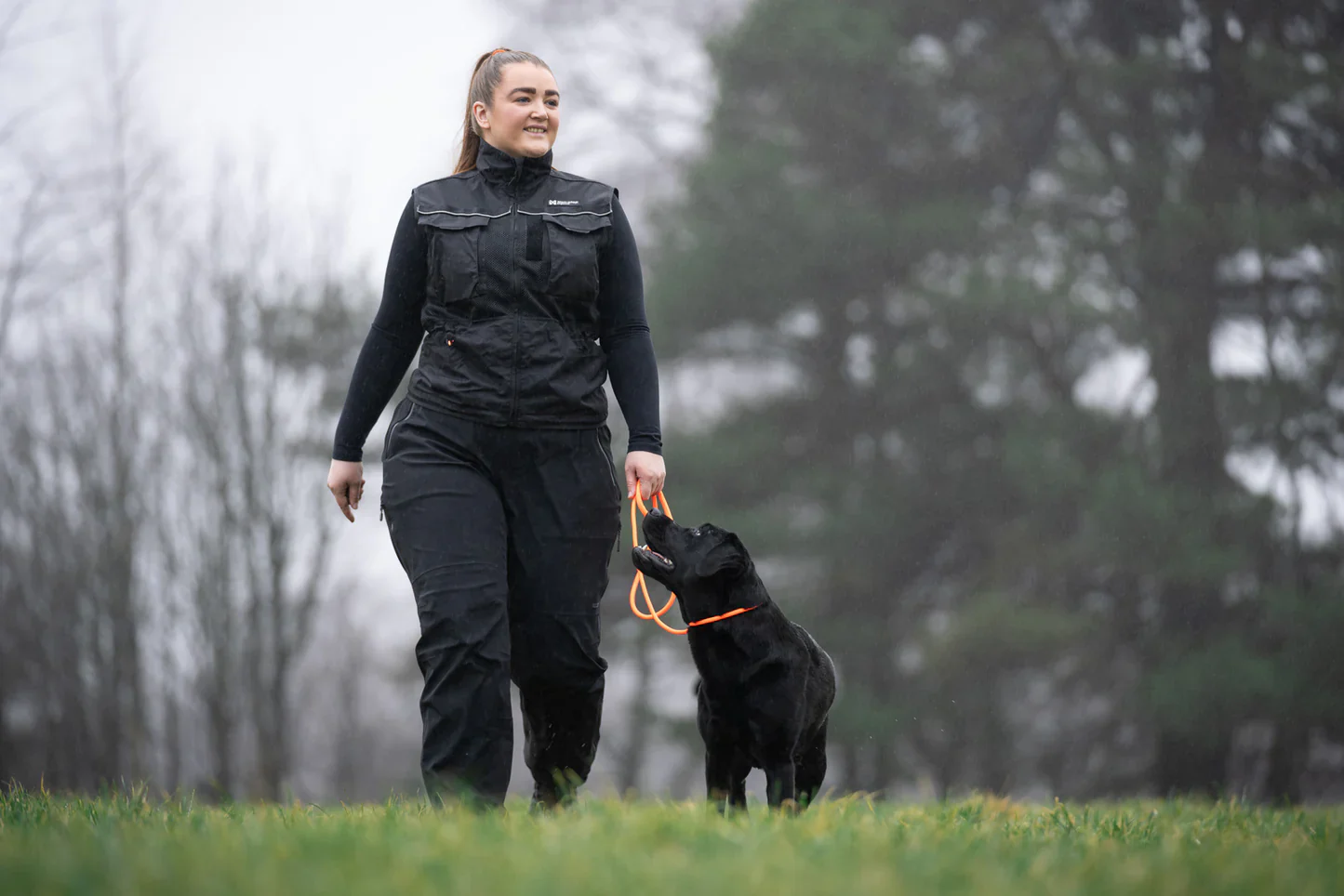 Non-stop - Retriever Leash - Image 6