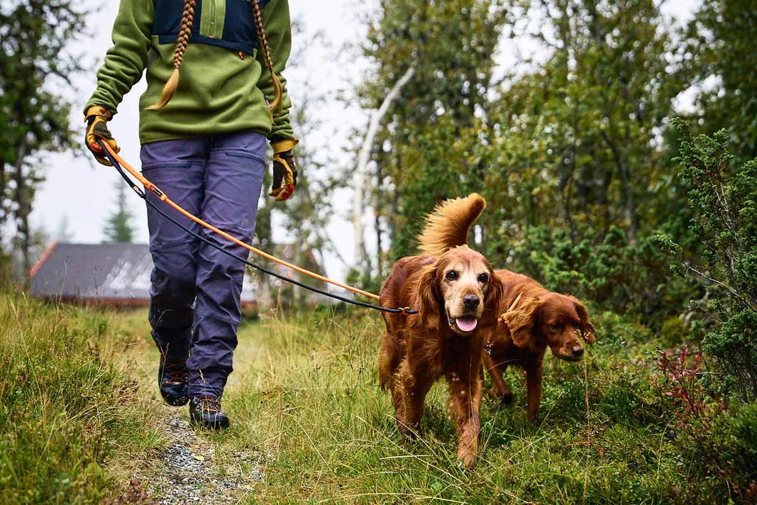 Non-stop - Retriever Leash - Image 8