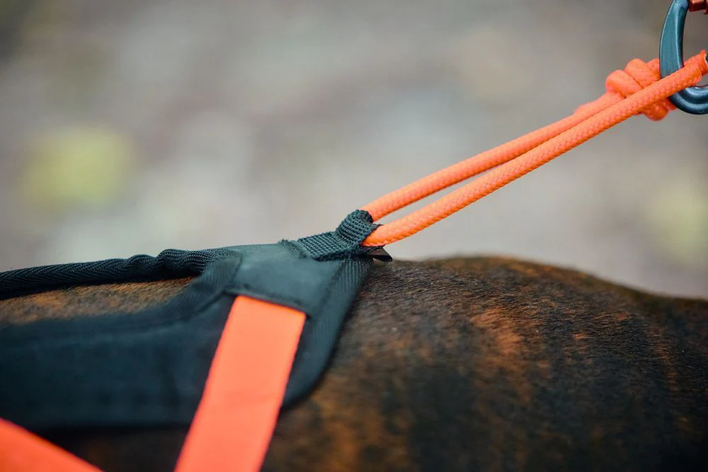 Non-stop - Rush Harness - Image 6